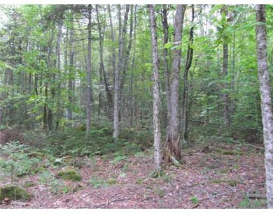 Land/Lot.