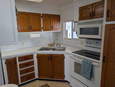 29081 US HWY 19N, Clearwater, FL 33761 - photo 5
