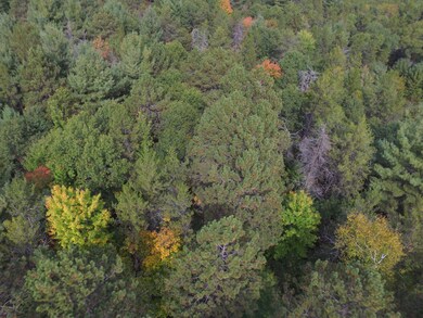 Lot 1 Fandeen Rd, Siren, WI 54872 - photo 5