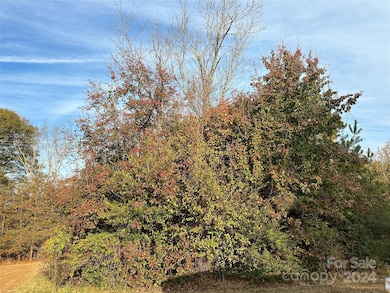 Lots 4 and 5 Poplar Cir, Shelby, NC 28152 - photo 3