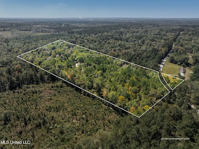 274 Game Reserve Rd, Columbia, MS 39429 - photo 4