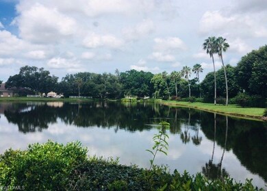 6496 Ilex Cir, Naples, FL 34109 - photo 5