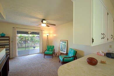 1292 Ululani St, Hilo, HI 96720 - photo 3