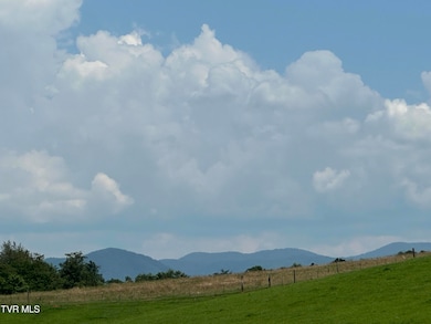 00 W Allens Bridge Rd, Greeneville, TN 37743 - photo 4