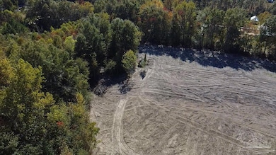 1500 Block Alabama 21, Atmore, AL 36502 - photo 4