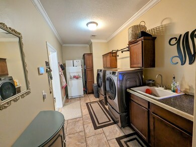 3821 Roscoe Dupriest Rd, Donalsonville, GA 39845 - photo 6