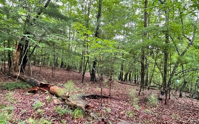 Additional View