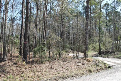 367 Hopkins Dr, Moncks Corner, SC 29461 - photo 7