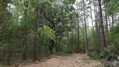 Tract C Whiskey Ln unit C, Tickfaw, LA 70466 - photo 4