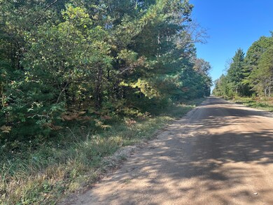 PAR A 16th St, Baldwin, MI 49304 - photo 2