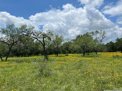 412 Lebouf Rd, Utopia, TX 78884 - photo 7