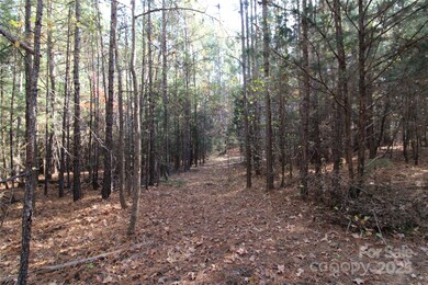 6+/-AC Bookout Rd, Rock Hill, SC 29730 - photo 5
