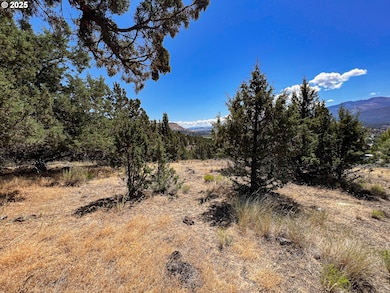 219 Valley View Dr, John Day, OR 97845 - photo 5