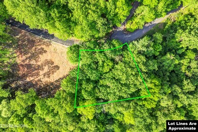 Lot 27 Sugar Maple Loop Rd, Sevierville, TN 37862 - photo 4