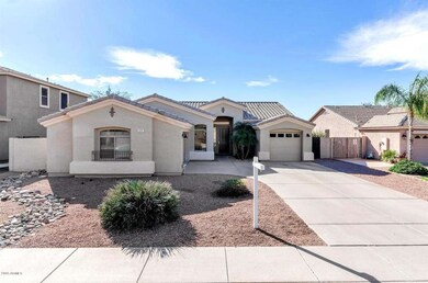 3257 E Maplewood St Gilbert AZ-large-003