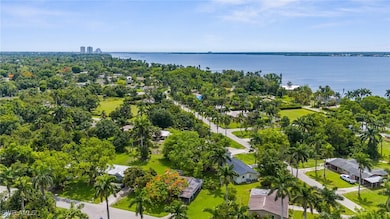Aerial view of a nearby body of water and a tree f