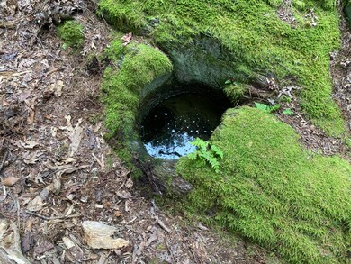 lot 13 Upper Spruce Shore Rd, Harpswell, ME 04079 - photo 7