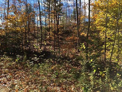 17 Bickford Pond Rd, Porter, ME 04068 - photo 5