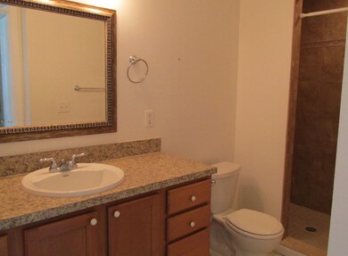 Master bath with long, tiled shower.