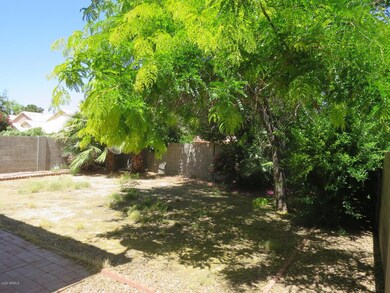03 Backyard
