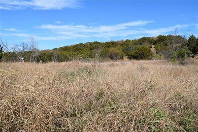 000 Holders Chapel Rd, Cool, TX 76088 - photo 6