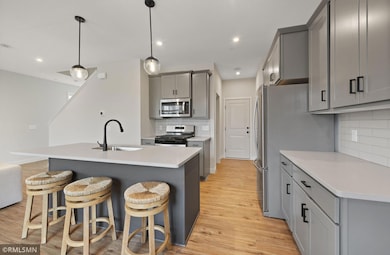 2444 120th Cir NE unit D, Blaine, MN 55449 - photo 4