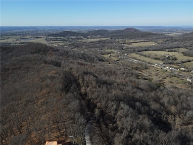 0 Cisco Rd, Berryville, AR 72616 - photo 3