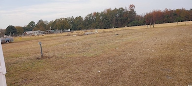 322 Nestle Down Dr, Sellers, SC 29592 - photo 4