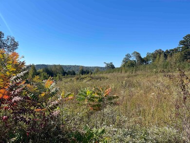 2780 Hardin Creek Rd, Clifton, TN 38425 - photo 3