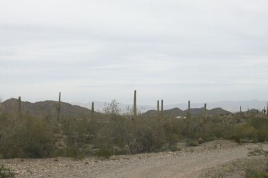 looking east
