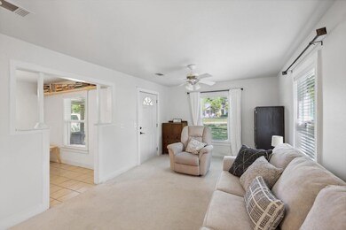 Carpeted living room with a wealth of natural ligh