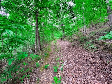 Elk River Rd unit Lot WP001, Procious, WV 25164 - photo 4