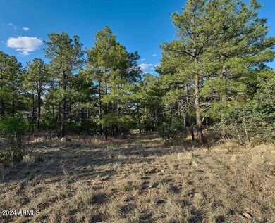 412 White Spar Rd unit 1, Prescott, AZ 86303 - photo 6