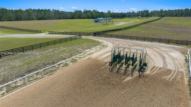 12451 NE 20th St, Williston, FL 32696 - photo 6