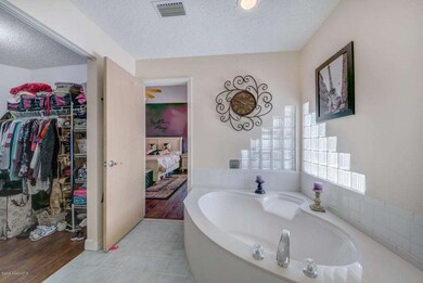 Master Bath Soaker Tub