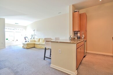 4 Repton Cir unit 4409, Watertown, MA 02472 - photo 6