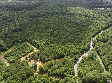 63 Hattie Winston Rd unit LotWP001, Lumberton, MS 39455 - photo 4