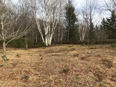 0 Sloptown Rd unit 201812505, Beaver Island, MI 49782 - photo 3