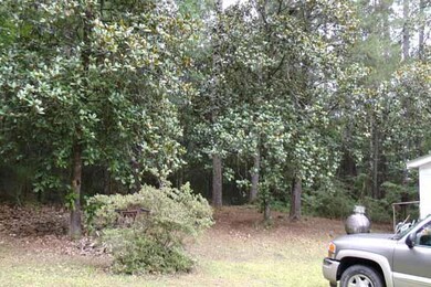 Nice Trees to side of House