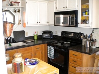 250 Caseys Gap Rd unit 5, Banner Elk, NC 28604 - photo 4