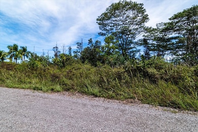 0 2nd Ave unit 724919, Keaau, HI 96749 - photo 5