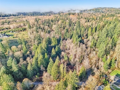 111 XX W Lake Joy Dr NE, Carnation, WA 98014 - photo 3