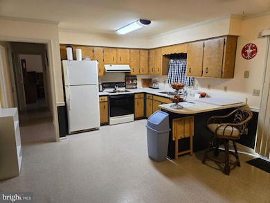 33293 Matthewstown Rd, Easton, MD 21601 - photo 7