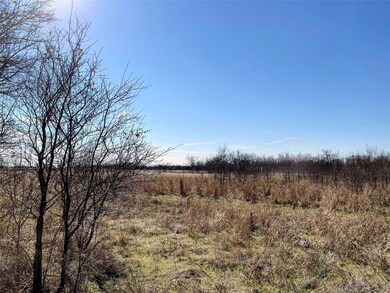 Looking towards the south side of the property fro