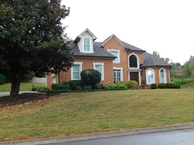 Whittington Creek 002