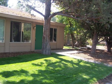 Lawn area and mature trees