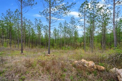 10 Three Waters St, Honobia, OK 74957 - photo 6