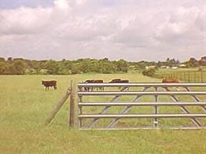 29163 Smalley Rd, Hockley, TX 77447 - photo 6