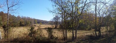 3162 Sparks Dr, Cookeville, TN 38506 - photo 4