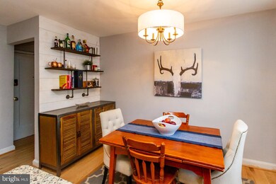 2910 13th Rd S unit 10103, Arlington, VA 22204 - photo 7